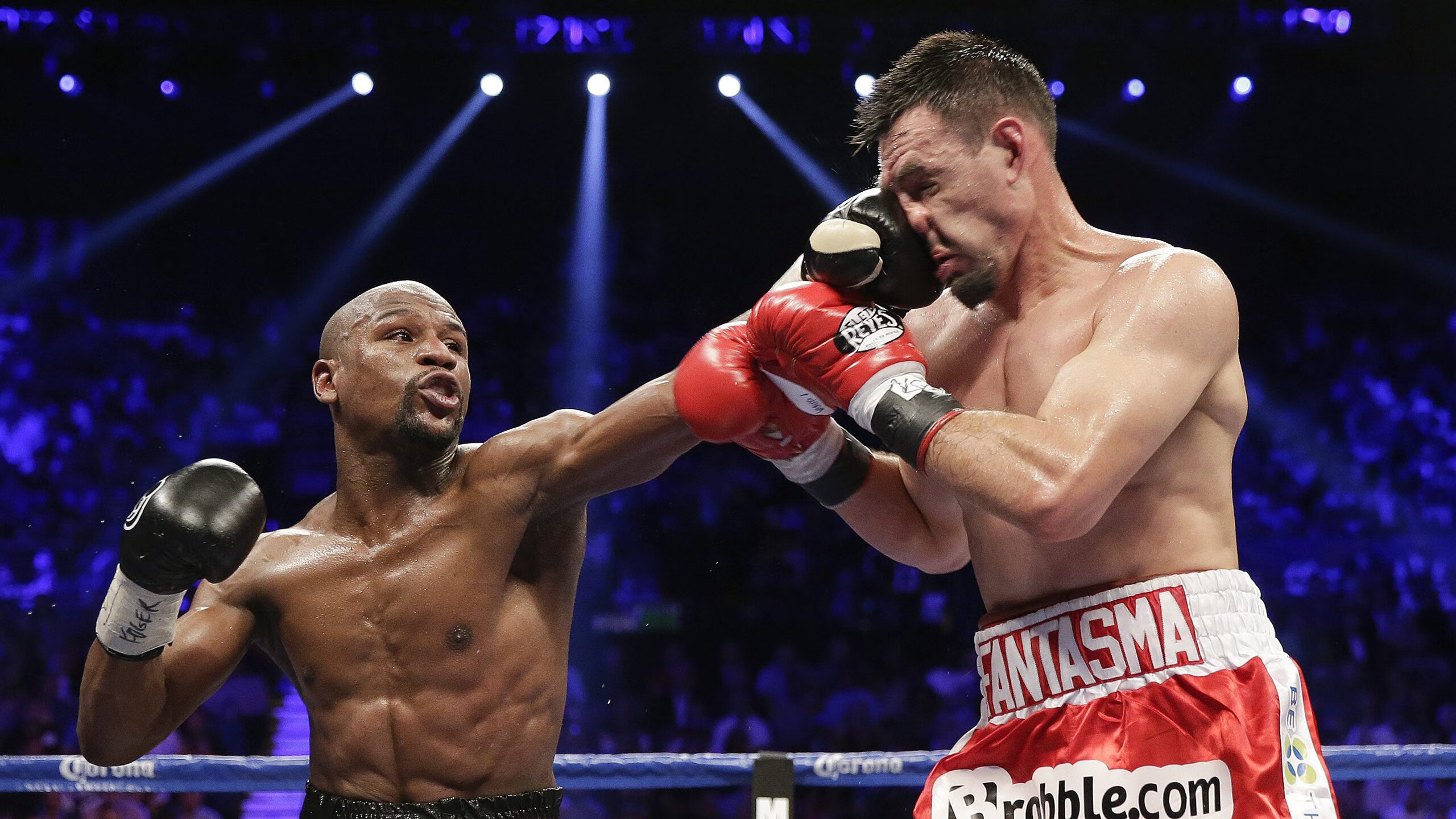 WTT巡回赛中国站看点十足 顶级选手云集火热角逐，wta巡回赛赛程