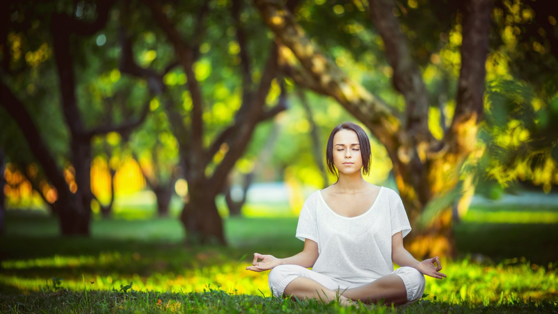 球员体能恢复微周期:科学训练与监控表格样本,球队体能训练